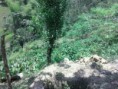 /album/fotogaleria-inicio/fotos-octubre-639-jpg/